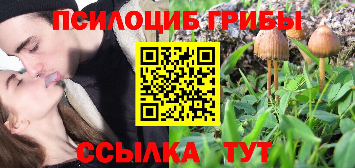 Псилоцибиновые грибы GOLDEN TEACHER  как найти закладки  Югорск  Вход с VPN  Псилоцибиновые грибы MAGIC MUSHROOMS 