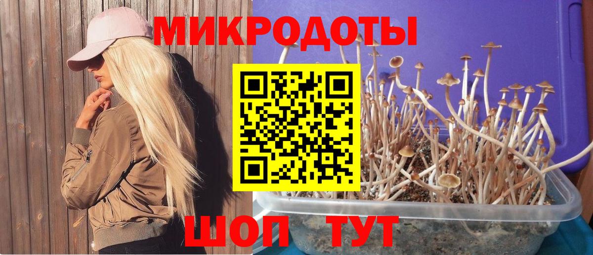 Галлюциногенные грибы мухоморы Югорск
