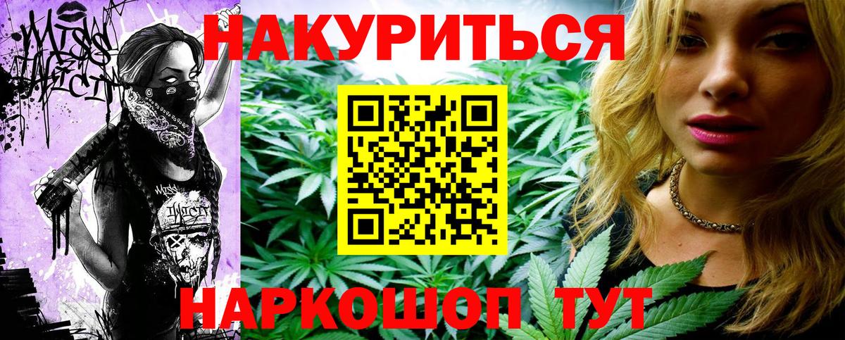 Конопля планчик Югорск